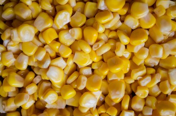 The texture of canned corn. culinary background.