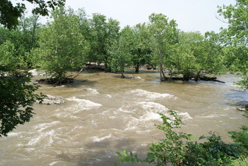  stormy river among green trees