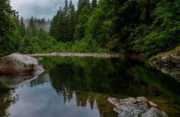 Pine trees reflecting in the crystal clear water of a lake on a cloudy day in Lynn Canyon Park forest, Vancouver, Canada