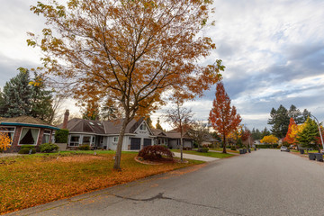 Fraser Heights, Surrey, Greater Vancouver, BC, Canada. Beautiful Street view in the Residential Neighborhood during a colorful Autumn Season and cloudy sunset sky.