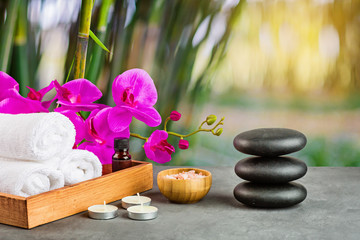 hot spa stones set for massage treatment, orchid flower, towels, candles and sea salt on green background with bamboo. Elegant and luxury spa. mock up, template. Health and beauty care concept