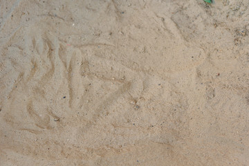 Beach sand texture background closeup