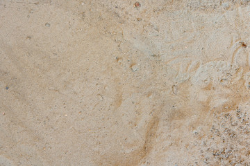 Beach sand texture background closeup