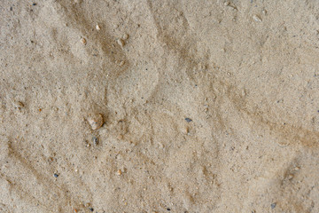 Beach sand texture background closeup
