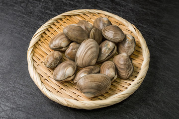 北海道の本あさり　Japanese clams in the Hokkaido area 