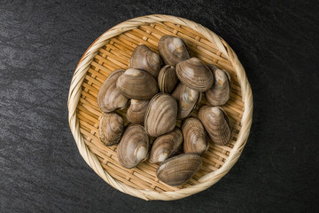 北海道の本あさり　Japanese clams in the Hokkaido area 