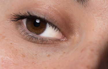 Single dark brown Caucasian eye with mascara. Young women healthy eye close up with catch light.