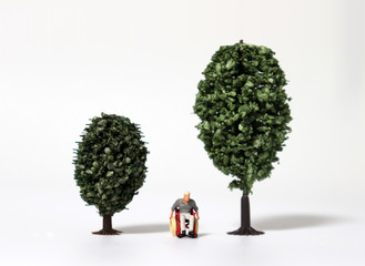 A miniature man in a wheelchair between miniature trees.