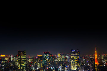 Fototapeta na wymiar 日本 首都東京 高層ビルのある風景　typical sight of Tokyo, Japan
