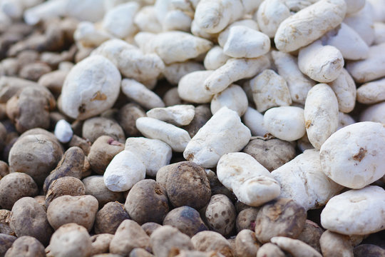 Traditional andean dehydrated potato.