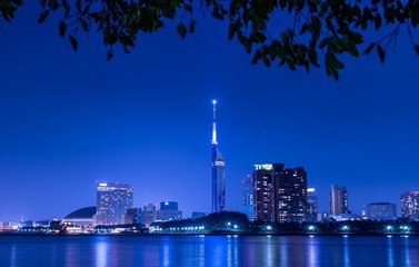 福岡タワーと夜景