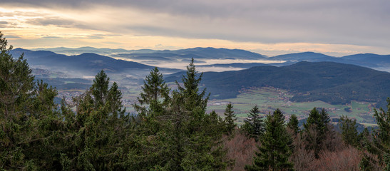 Fog panorama in the  bavarian forest