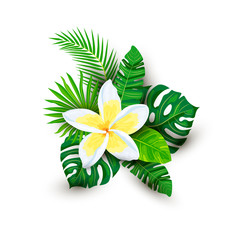 Tropical exotic leaves and plumeria flower with shadows, vector illustration isolated on white background. Design element for poster, web, flyers, invitation, postcard, SPA, sticker, wedding.