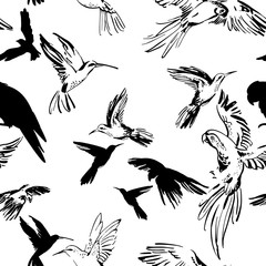 Flying exotic birds seamless pattern. Black and white sketch of parrots and hummingbirds