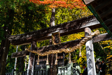 The shrines of Suwa