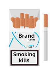Traditional cigarettes tobacco products in package