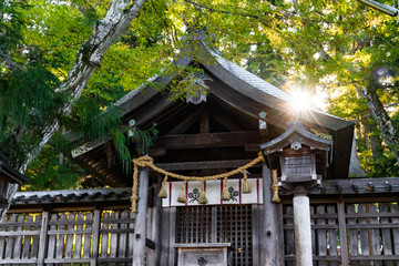 The shrines of Suwa