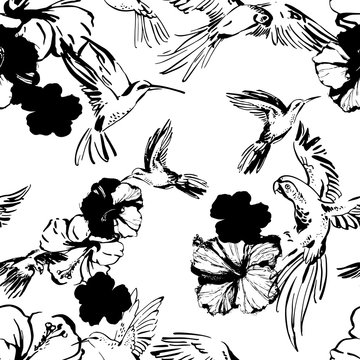 Black and white sketch of parrots, hummingbirds, botanical florals