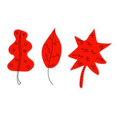 Red leaves vector hand drawn illustration.