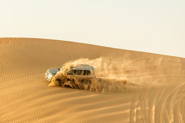 Sand Safari