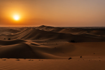 sunset in the desert