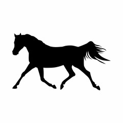 Horses black silhouette. Equine  vector illustration.