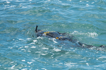 police diver search and rescue