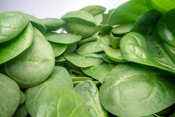 Obraz premium Macro shot of green spinach leafs. Bunch of spinach vegetable leafs stacked on top of each other. Urban farming, healthy eating lifestyle