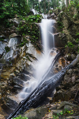 Beautiful waterfall view in the jungle. Long exposure image of water