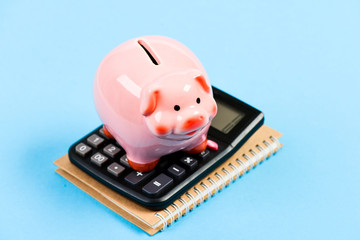 Accounting business. Piggy bank symbol of money savings. Accounting software. Finances and...