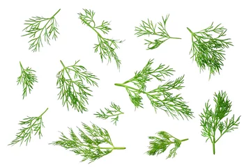 Foto op Aluminium fresh green dill isolated on white background. top view © Tatiana