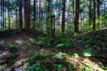 Obraz premium Miyasawa ruins in Miyagi