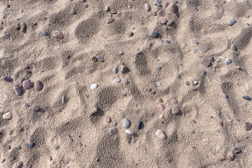 Natural background. Summer. Day. Sea sand and pebbles on a Baltic beach