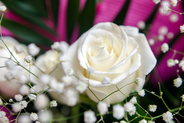 A bouquet of white roses close-up