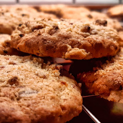 Freshly baked cookies