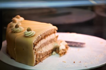 piece of chocolate cake
