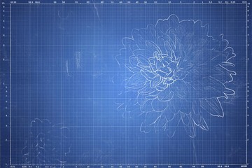 Abstract flowers zinnia in vintage style, flower photos for postcards         