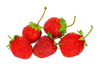 Garden strawberry
