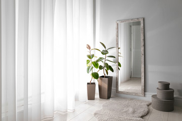 Large mirror and plants near window in light room
