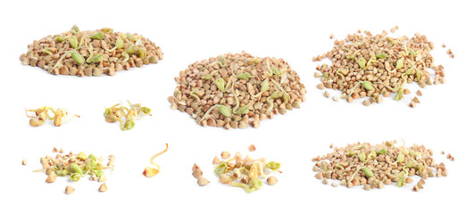 Set of sprouted green buckwheat grains isolated on white