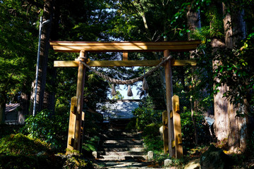 Fototapeta na wymiar Hitakami shrine