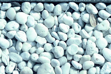 Small white pebbles texture close-up. Natural background blue color toned