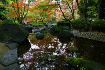 雨上がりの秋の日本庭園