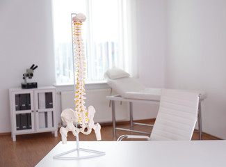 Human spine model on table in orthopedist's office
