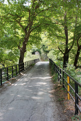Aristi Bridge on the Voidomatis river Epirus Greece