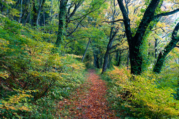 Takayama inani shrine