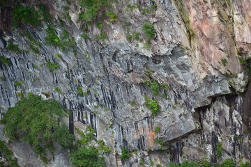 A fissured rock wall in Nikko-Japan.