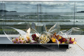 2011 Tohoku earthquake and tsunami.