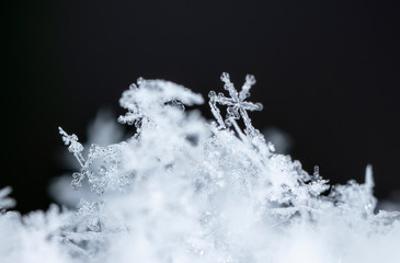 natural snowflakes on snow, winter