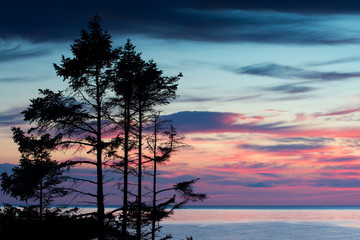 Fototapeta na wymiar Amazing vibrant autumn sunset over deep blue ocean and endless horizon, with spruce tree silhouettes in the foreground island of Gotland in the Baltic Sea, Sweden